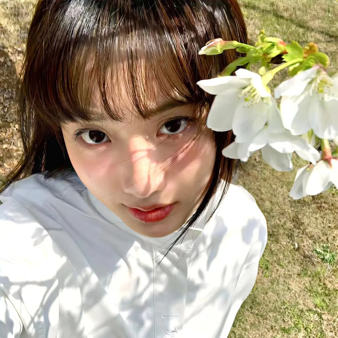 多龙芝 在线观看